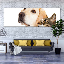 Load image into Gallery viewer, labrador  dog  canvas  wall  art  white  background  dog  and  cat  1  piece  canvas  print  brown  cat  isolated  wide  canvas In  Living Room
