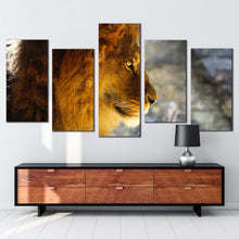 Load image into Gallery viewer, lion animal canvas wall art lion nature background 5 piece canvas print yellow orange lion profile multi canvas artwork For Living Room
