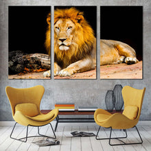 Load image into Gallery viewer, lion sitting canvas wall art yellow orange lion animal portrait 3 piece canvas king of the jungle canvas print In Living Room
