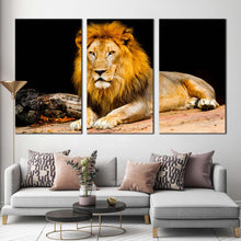 Load image into Gallery viewer, lion sitting canvas wall art yellow orange lion animal portrait 3 piece canvas king of the jungle canvas print For Living Room
