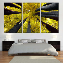 Load image into Gallery viewer, looking up autumn trees triptych canvas prints home decor For Bedroom
