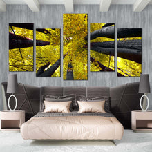 Load image into Gallery viewer, looking up forest Tree canopy 5 piece canvas wall art For Bedroom
