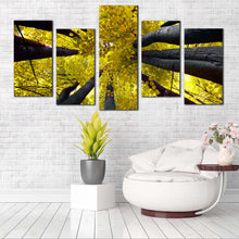 Load image into Gallery viewer, looking up sky autumn trees 5 piece canvas artwork In Living Room
