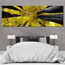 Load image into Gallery viewer, looking  up  sky  autumn  trees  panoramic  canvas  print For Bedroom
