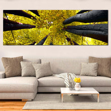 Load image into Gallery viewer, looking  up  sky  through  autumn  leaves  woodland  1  piece  artwork  decor For Living Room
