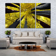 Load image into Gallery viewer, looking up sky through autumn leaves woodland 3 pc. canvas artwork In Living room
