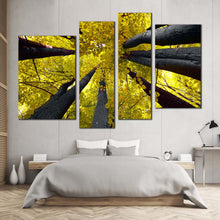 Load image into Gallery viewer, looking up through yellow canopy of deciduous trees 4 Panel artwork 
