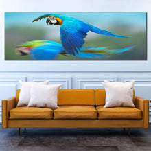 Load image into Gallery viewer, macaw  flying  canvas  wall  art  blue  exotic  parrot  1  piece  canvas  print  colorful  parrot  flying  canvas  artwork In Living  Room
