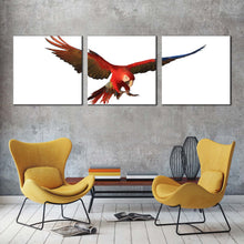 Load image into Gallery viewer, macaw  parrot  canvas  wall  art  white  background  bird  3  piece  canvas  set  red  parrot  flying  triptych  canvas  print In Living Room
