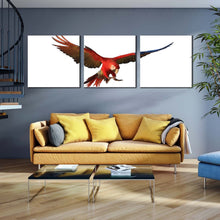 Load image into Gallery viewer, macaw  parrot  canvas  wall  art  white  background  bird  3  piece  canvas  set  red  parrot  flying  triptych  canvas  print For Living Room
