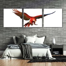 Load image into Gallery viewer, macaw  parrot  canvas  wall  art  white  background  bird  3  piece  canvas  set  red  parrot  flying  triptych  canvas  print For Bedroom
