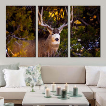 Load image into Gallery viewer, mule deer canvas wall art brown deer wildlife 3 piece canvas deer green scenery canvas print For Living Room
