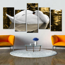 Load image into Gallery viewer, mute swan resting sunlight water 5 panel canvas print For Living Room
