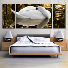 Load image into Gallery viewer, mute swan sleeping reflection lake 3 piece canvas print For Bedroom
