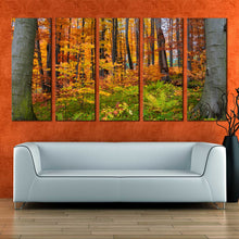 Load image into Gallery viewer, orange trees forest scene landscape 5 piece canvas In Living room
