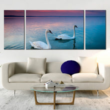 Load image into Gallery viewer, pair  of  white  swans  swimming  in  Lake  Balaton  at  sunset  wall  art  decor In Living Room
