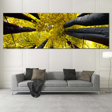 Load image into Gallery viewer, panoramic  canvas  of  looking  up  sky  through  trees  forest In Living Room
