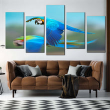 Load image into Gallery viewer, parrot flying canvas wall art colorful bird flying 5 piece multiple canvas macaw bird canvas print In Living Room

