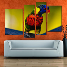Load image into Gallery viewer, parrot lorikeet canvas print colorful lorikeet 4 piece canvas wall art parrot sitting multi canvas in living room
