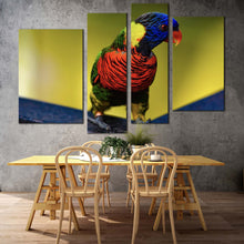 Load image into Gallery viewer, parrot lorikeet canvas print colorful lorikeet 4 piece canvas wall art parrot sitting multi canvas
