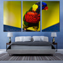 Load image into Gallery viewer, parrot portrait canvas wall art parrot sitting 3 piece canvas set colorful parrot triptych canvas print For Bedroom
