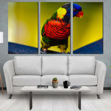 Load image into Gallery viewer, parrot portrait canvas wall art parrot sitting 3 piece canvas set colorful parrot triptych canvas print For Living Room
