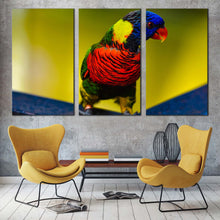 Load image into Gallery viewer, parrot portrait canvas wall art parrot sitting 3 piece canvas set colorful parrot triptych canvas print In Living Room

