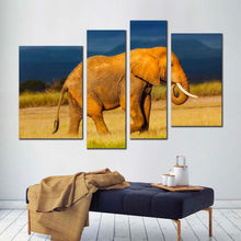 Load image into Gallery viewer, peaceful elephant canvas wall art grey orange elephant profile canvas print elephant scenery 4 piece canvas for living room
