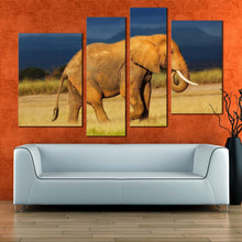 Load image into Gallery viewer, peaceful elephant canvas wall art grey orange elephant profile canvas print elephant scenery 4 piece canvas in living room
