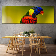 Load image into Gallery viewer, rainbow  lorikeet  canvas  wall  art  colorful  parrot  1  piece  canvas  print  parrot  portrait  canvas  artwork In Dinning Room
