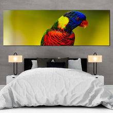 Load image into Gallery viewer, rainbow  lorikeet  canvas  wall  art  colorful  parrot  1  piece  canvas  print  parrot  portrait  canvas  artwork For Bedroom
