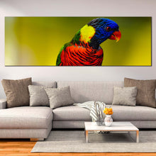 Load image into Gallery viewer, rainbow  lorikeet  canvas  wall  art  colorful  parrot  1  piece  canvas  print  parrot  portrait  canvas  artwork For Living Room
