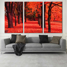 Load image into Gallery viewer, red forest sunlight autumn 3 piece wall art In Living Room
