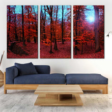 Load image into Gallery viewer, red forest sunlight foggy 3 piece wall art In Living room
