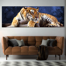 Load image into Gallery viewer, resting  tiger  blue  background  oversize  canvas  print  home  decor In Living Room
