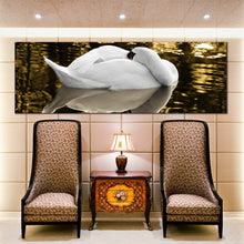 Load image into Gallery viewer, sleeping  swan  panoramic  canvas  print In  Living Room
