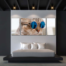 Load image into Gallery viewer, smart cat canvas wall art brown cat close up 3 piece canvas print cat wearing blue sunglasses multi canvas For Bedroom
