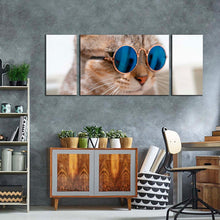 Load image into Gallery viewer, smart cat canvas wall art brown cat close up 3 piece canvas print cat wearing blue sunglasses multi canvas
