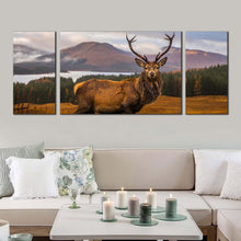 Load image into Gallery viewer, stag portrait canvas wall art brown wild stag 3 piece canvas print orange eka scenery animal nature canvas set In Living Room
