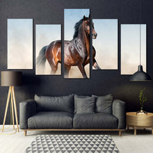 Load image into Gallery viewer, stallion  horse  canvas  wall  art  horse  white  desert  5  piece  multi  canvas  brown  horse  rearing  canvas  print For Living Room
