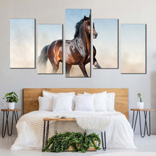 Load image into Gallery viewer, stallion  horse  canvas  wall  art  horse  white  desert  5  piece  multi  canvas  brown  horse  rearing  canvas  print In Bedroom
