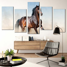 Load image into Gallery viewer, stallion  horse  canvas  wall  art  horse  white  desert  5  piece  multi  canvas  brown  horse  rearing  canvas  print In Living Room
