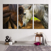 Load image into Gallery viewer, stallion horses canvas print horses kissing 3 piece canvas wall art brown white horses multi canvas
