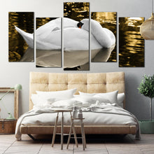 Load image into Gallery viewer, standing sitting lying down floating swan in lake 5 piece canvas print For Your Bedroom
