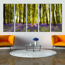 Load image into Gallery viewer, sunbeam through Green forest on carpet of bluebells landscape 5 piece wall art In Living room
