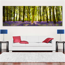 Load image into Gallery viewer, sunlight  magnificent  bluebells  woodland  Oxfordshire  large  canvas  art For Living Room
