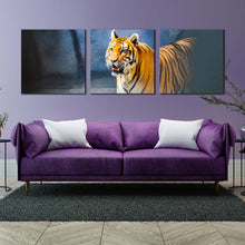 Load image into Gallery viewer, tiger  animal  canvas  print  wild  cat  wildlife  multi  canvas  yellow  white  tiger  roar  3  piece  canvas  wall  art  tiger  looking  multiple  canvas In Living Room
