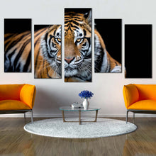 Load image into Gallery viewer, tiger front canvas print tiger looking 5 piece canvas wall art orange white tiger wildlife multiple canvas In Living room
