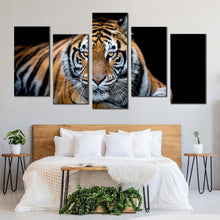 Load image into Gallery viewer, tiger front canvas print tiger looking 5 piece canvas wall art orange white tiger wildlife multiple canvas For Your Bedroom
