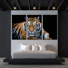 Load image into Gallery viewer, tiger sitting canvas wall art tiger front 3 piece canvas print orange white tiger looking canvas set For Bedroom
